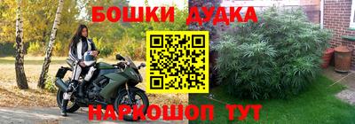 PSILOCYBIN Бузулук