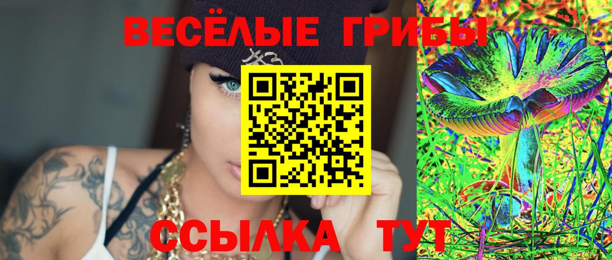 купить закладку  Вход с VPN  Шали  Псилоцибиновые грибы Psilocybine cubensis 