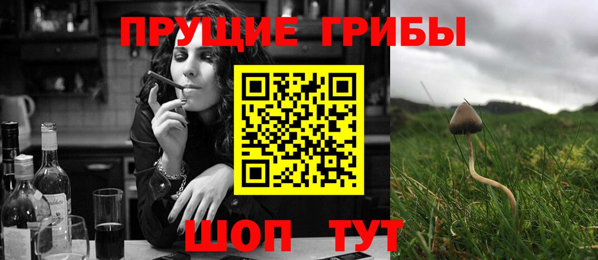 Галлюциногенные грибы ЛСД Шали